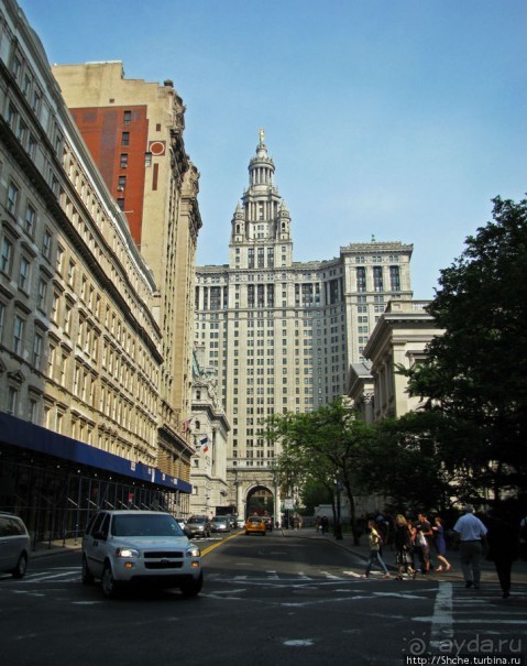 "Небоскребы, небоскребы, а я маленький такой..."