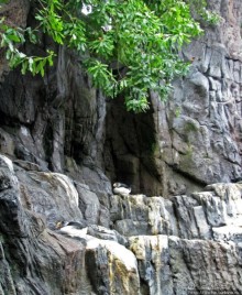 Океанариум — главная достопримечательность Лиссабона