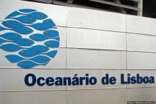 Океанариум — главная достопримечательность Лиссабона
