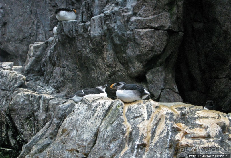Океанариум — главная достопримечательность Лиссабона