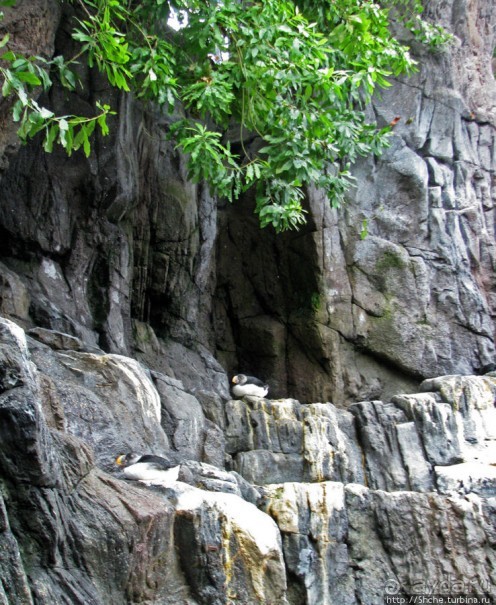 Океанариум — главная достопримечательность Лиссабона