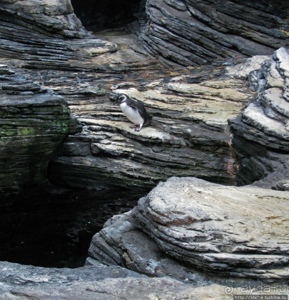 Океанариум — главная достопримечательность Лиссабона