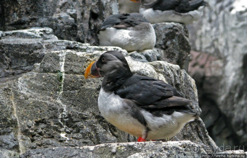Океанариум — главная достопримечательность Лиссабона