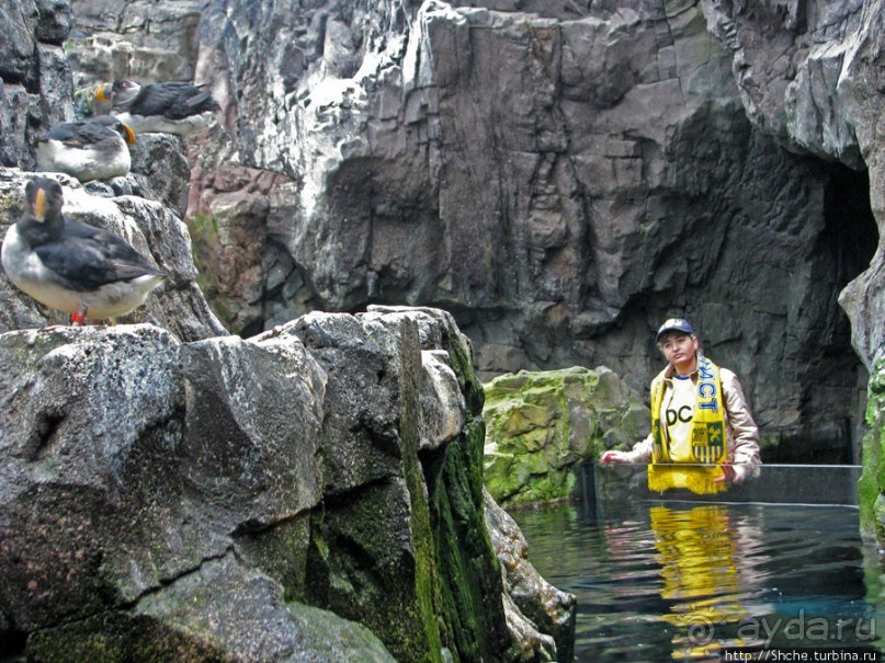 Океанариум — главная достопримечательность Лиссабона