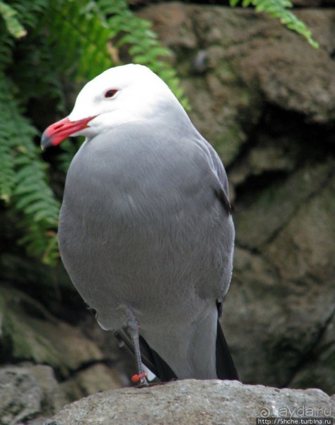 Океанариум — главная достопримечательность Лиссабона