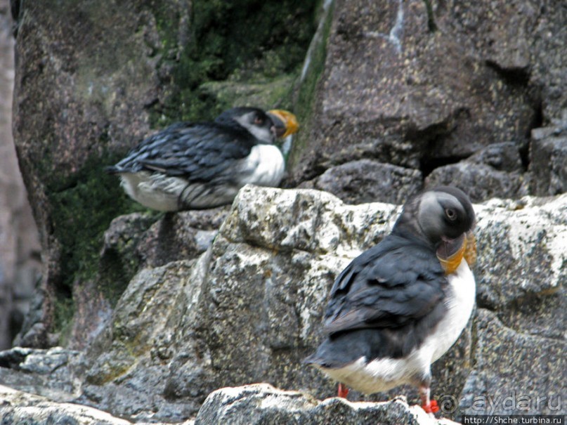 Океанариум — главная достопримечательность Лиссабона