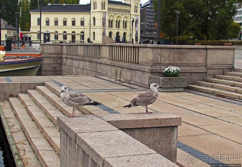 Променад вдоль берегов бухты Pipervika, элитный Aker Brygge