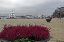 Променад вдоль берегов бухты Pipervika, элитный Aker Brygge