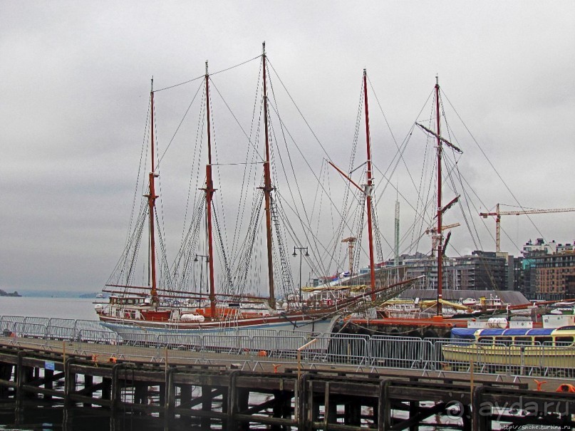 Альбом отзыва "Променад вдоль берегов бухты Pipervika, элитный Aker Brygge"