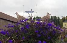 Променад вдоль берегов бухты Pipervika, элитный Aker Brygge