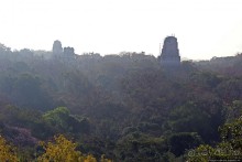 Над древним Тикалем забрезжил рассвет