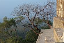 Над древним Тикалем забрезжил рассвет