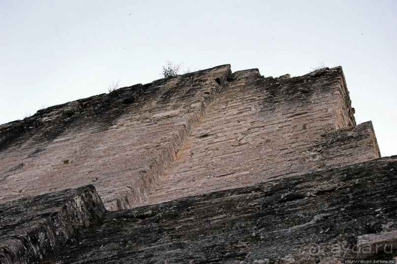 Над древним Тикалем забрезжил рассвет