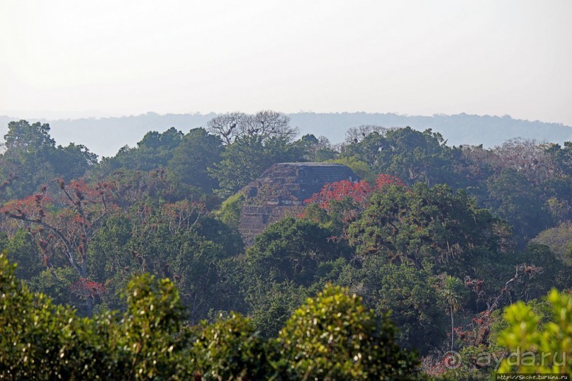 Над древним Тикалем забрезжил рассвет