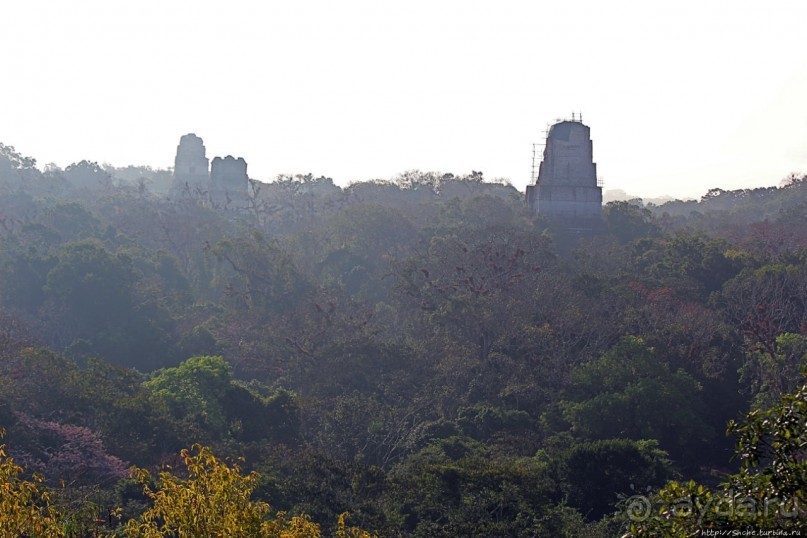 Над древним Тикалем забрезжил рассвет