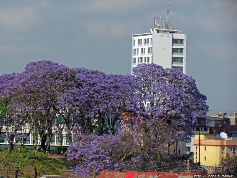 Одно из лучших мест для остановки в Антананариву
