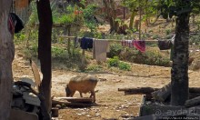 Горный аул в северо-западном Лаосе