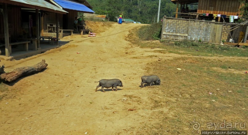 Горный аул в северо-западном Лаосе