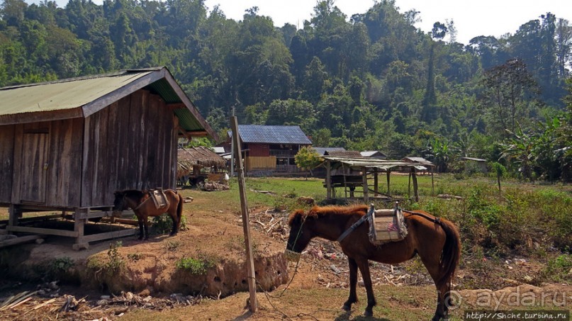 Горный аул в северо-западном Лаосе