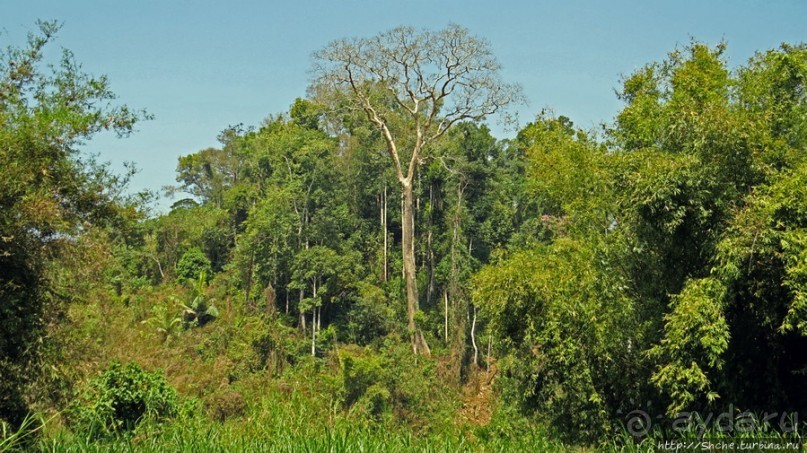 Горный аул в северо-западном Лаосе