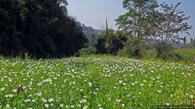 Горный аул в северо-западном Лаосе