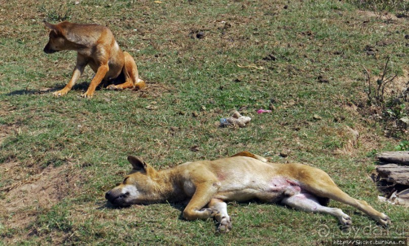 Горный аул в северо-западном Лаосе
