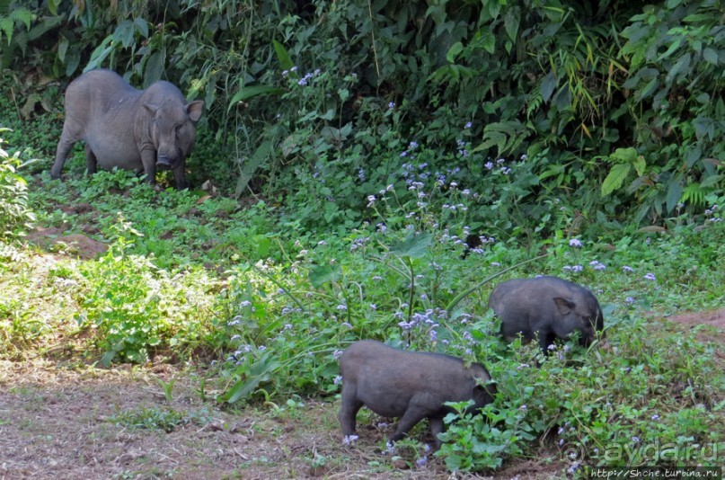 Горный аул в северо-западном Лаосе