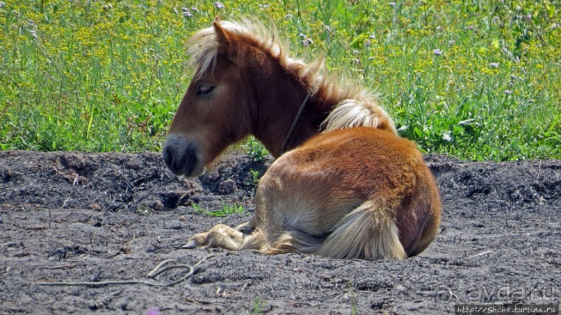 Горный аул в северо-западном Лаосе