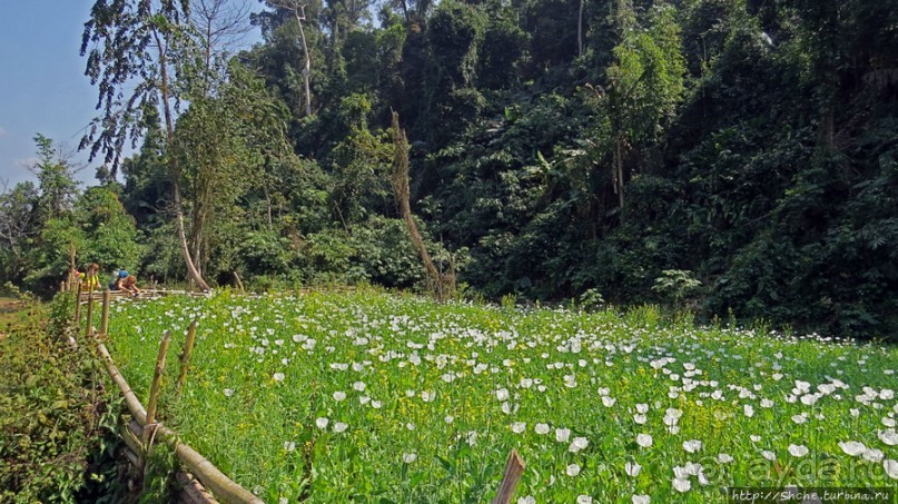 Горный аул в северо-западном Лаосе