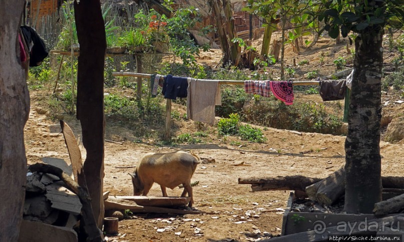 Горный аул в северо-западном Лаосе