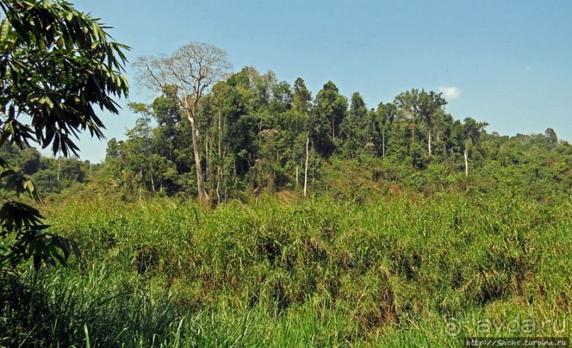 Горный аул в северо-западном Лаосе