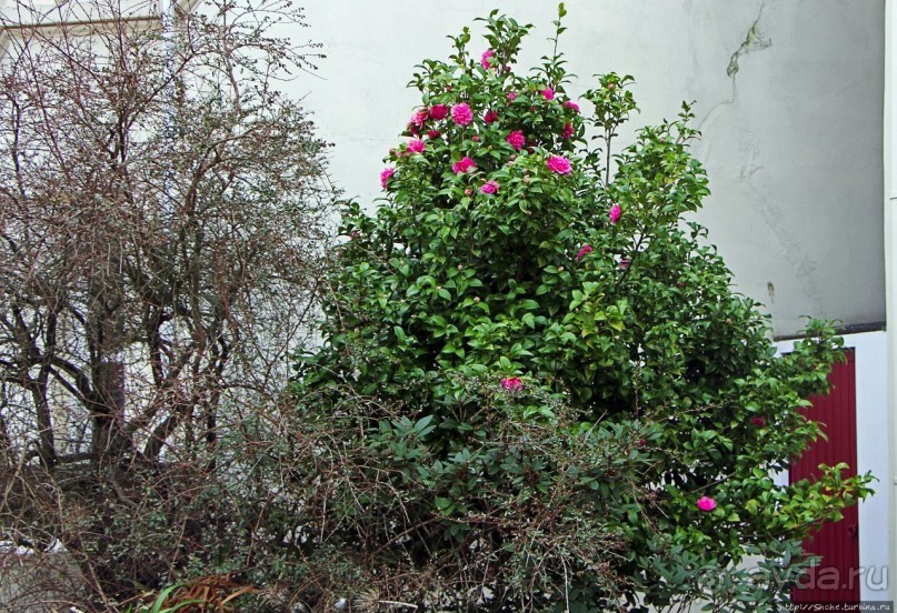 Пил в выходные (Остров Мэн - Британская корона)