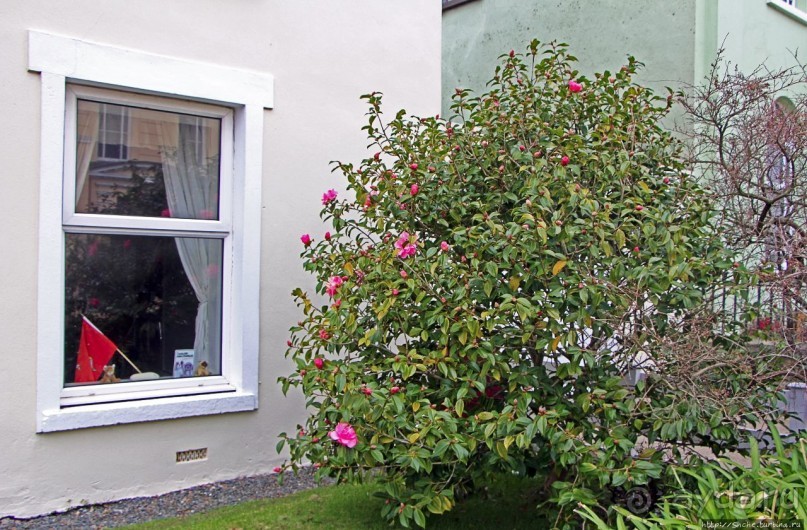 Пил в выходные (Остров Мэн - Британская корона)