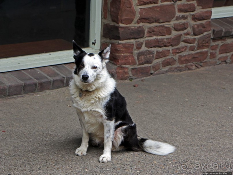 Пил в выходные (Остров Мэн - Британская корона)