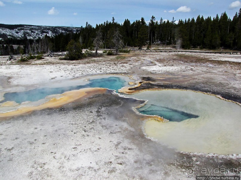 Альбом отзыва ""Живые" источники окраин Geyser Hill в Йеллоустонском Н.П."