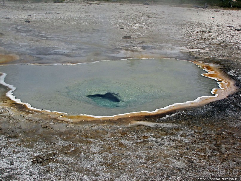 Альбом отзыва ""Живые" источники окраин Geyser Hill в Йеллоустонском Н.П."