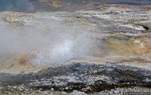 Альбом отзыва ""Живые" источники окраин Geyser Hill в Йеллоустонском Н.П."