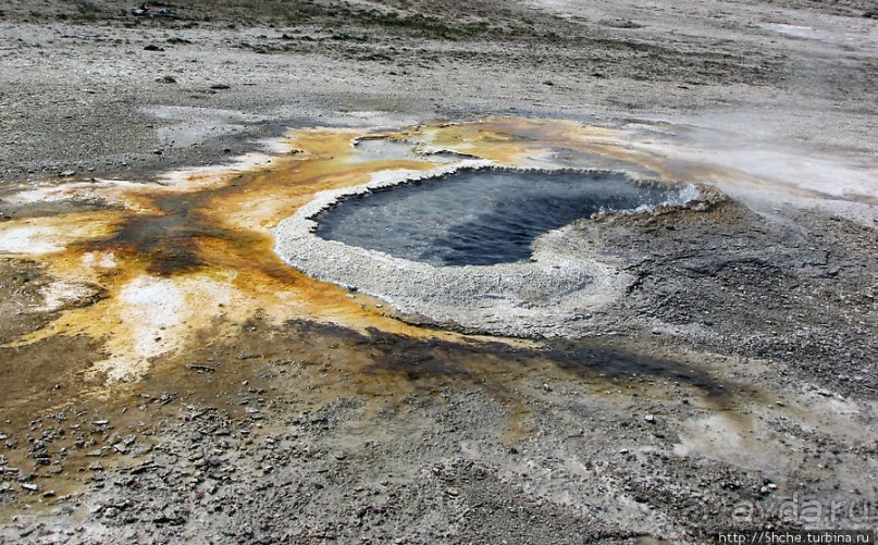 Альбом отзыва ""Живые" источники окраин Geyser Hill в Йеллоустонском Н.П."