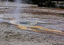 Альбом отзыва ""Живые" источники окраин Geyser Hill в Йеллоустонском Н.П."