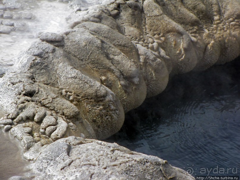 Альбом отзыва ""Живые" источники окраин Geyser Hill в Йеллоустонском Н.П."