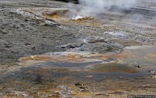 Альбом отзыва ""Живые" источники окраин Geyser Hill в Йеллоустонском Н.П."
