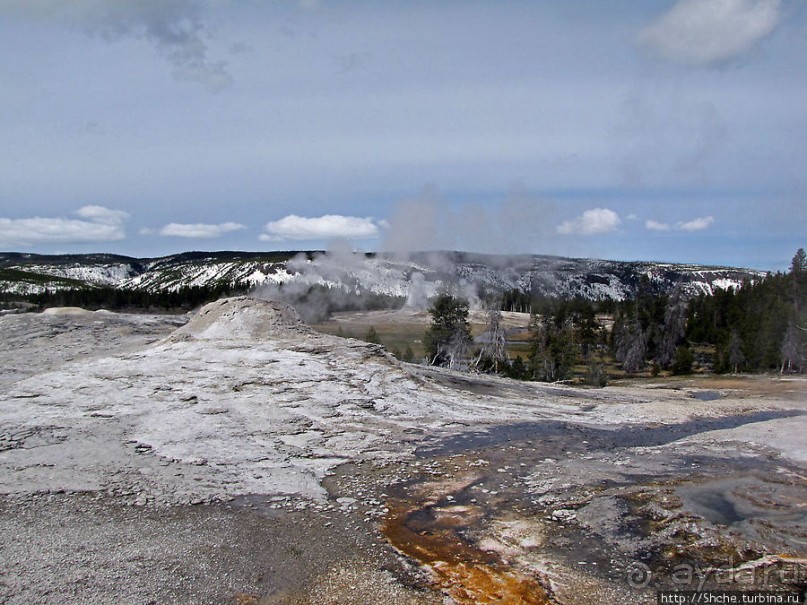 Альбом отзыва ""Живые" источники окраин Geyser Hill в Йеллоустонском Н.П."