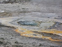 Альбом отзыва ""Живые" источники окраин Geyser Hill в Йеллоустонском Н.П."