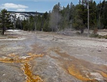 Альбом отзыва ""Живые" источники окраин Geyser Hill в Йеллоустонском Н.П."