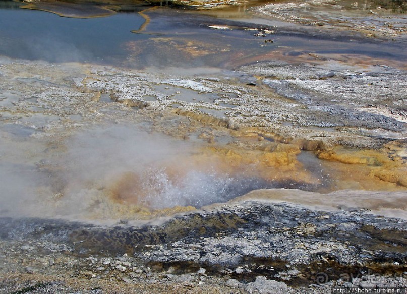 Альбом отзыва ""Живые" источники окраин Geyser Hill в Йеллоустонском Н.П."