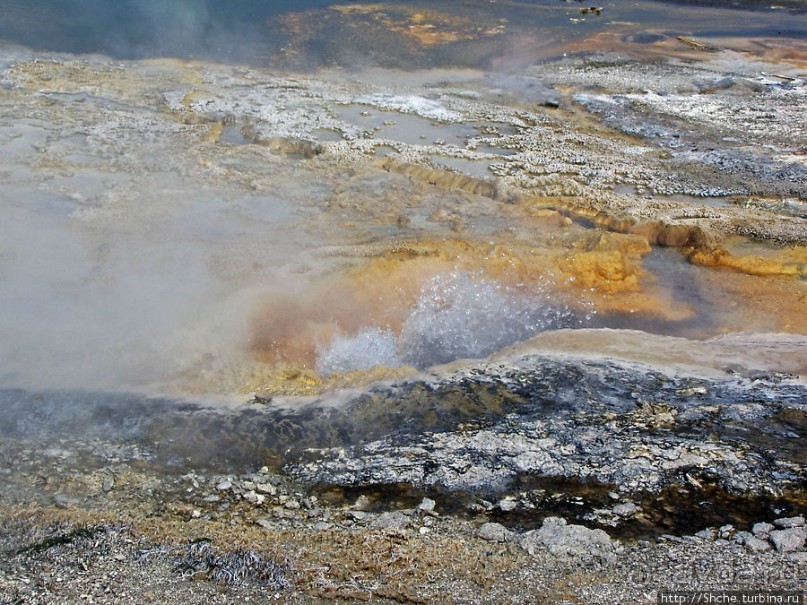Альбом отзыва ""Живые" источники окраин Geyser Hill в Йеллоустонском Н.П."