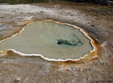 Альбом отзыва ""Живые" источники окраин Geyser Hill в Йеллоустонском Н.П."