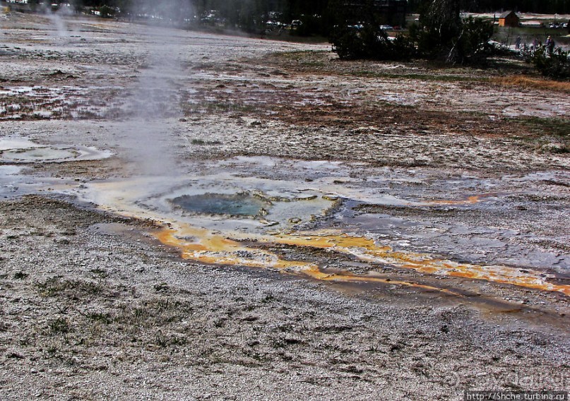 "Живые" источники окраин Geyser Hill в Йеллоустонском Н.П.