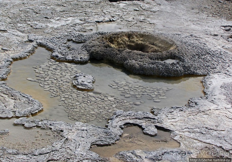 "Живые" источники окраин Geyser Hill в Йеллоустонском Н.П.