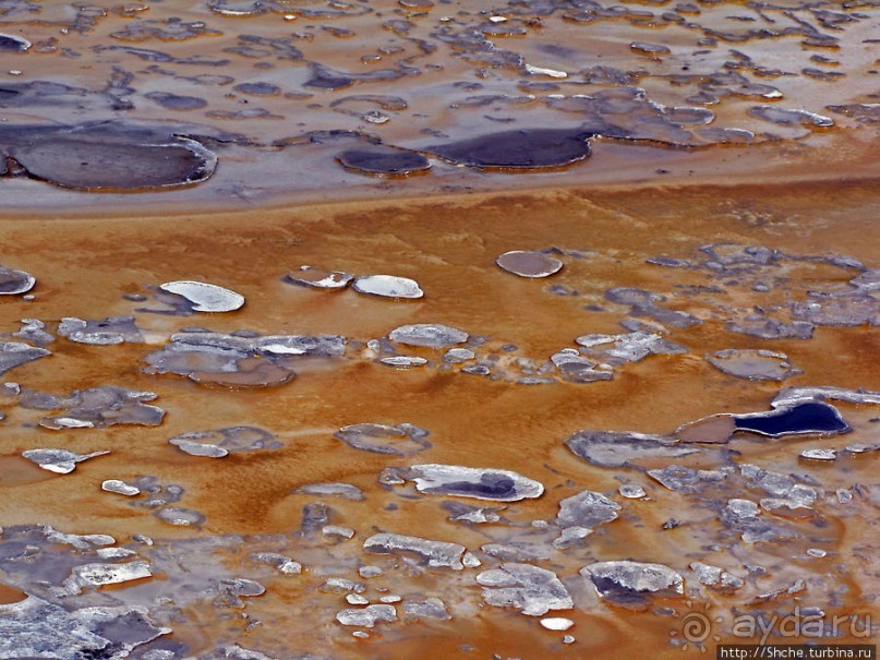 "Живые" источники окраин Geyser Hill в Йеллоустонском Н.П.